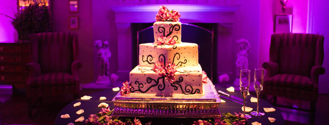 Uplighting Clearwater; Uplighting St. Petersburg; uplighting tampa; Uplighting Tampa FL;